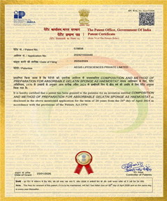 Patent