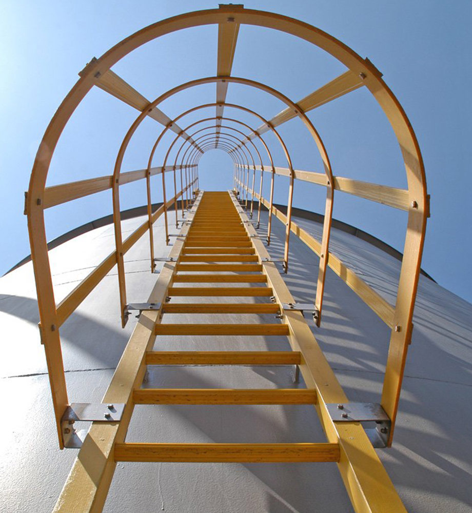 Cage Ladder