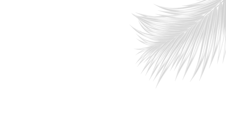 decorative image