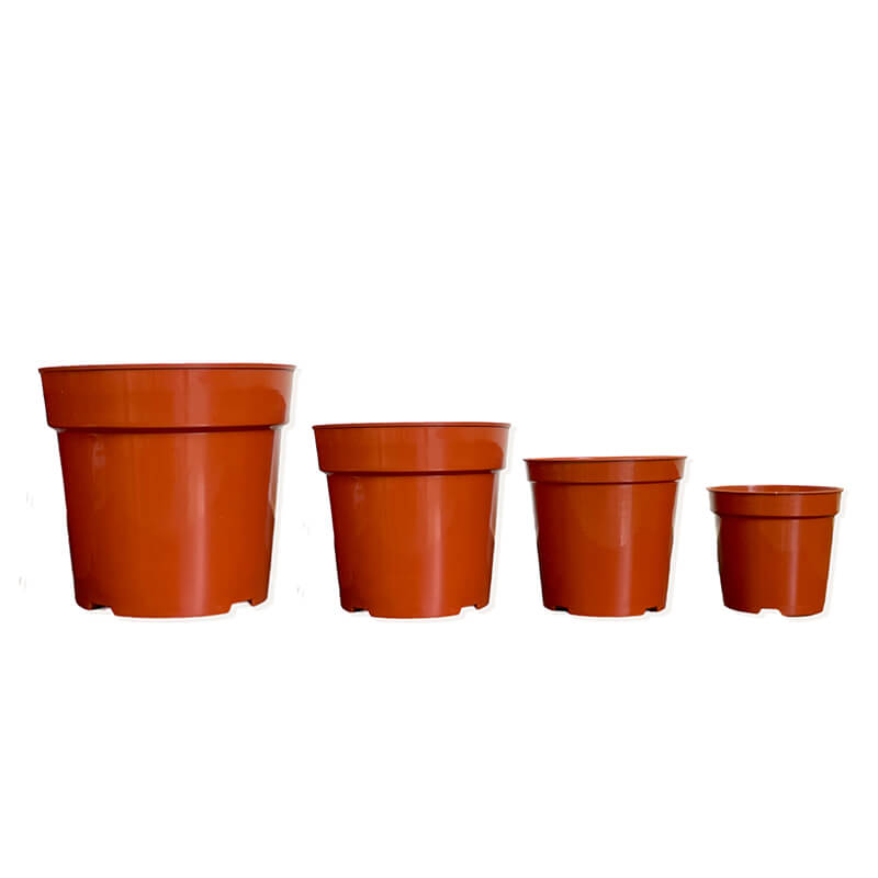 Plant Pots