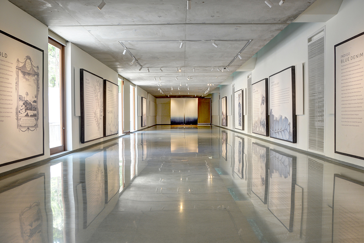 Gallery 11