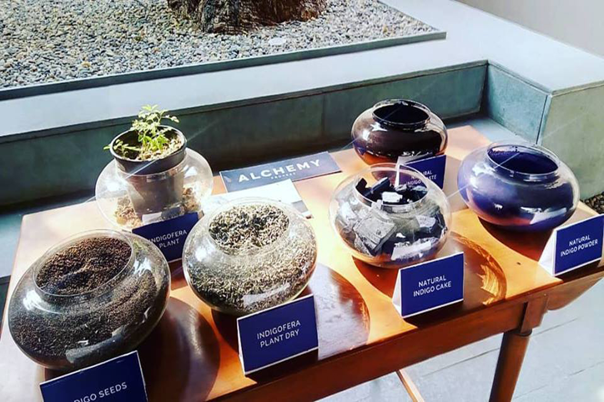 Gallery 7