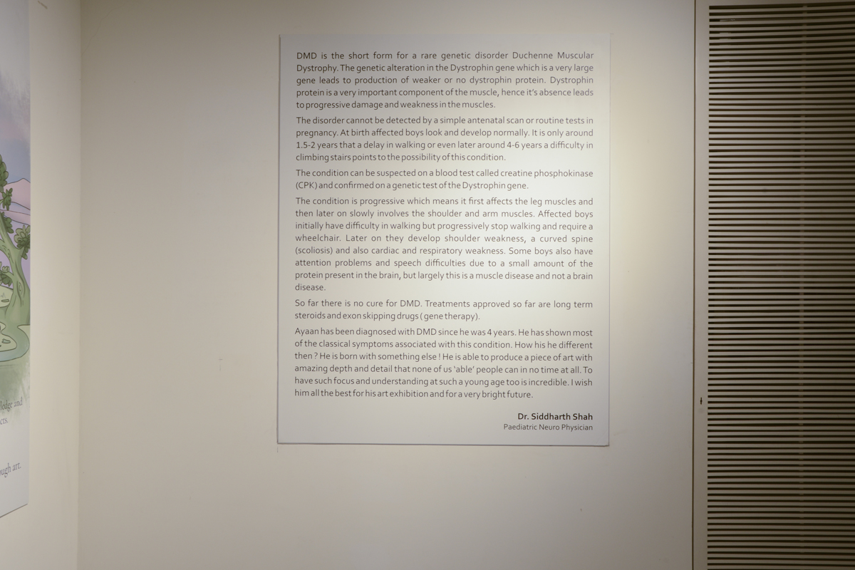 Gallery 8