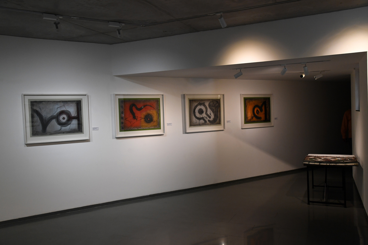 Gallery 11