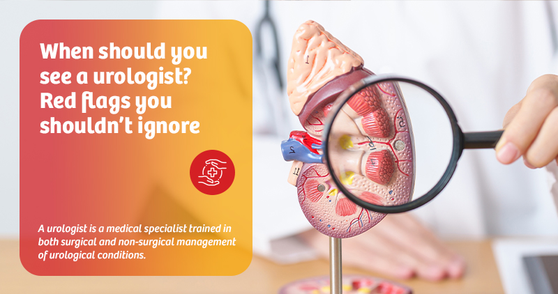 when-should-you-see-a-urologist-red-flags-you-shouldnt-ignore