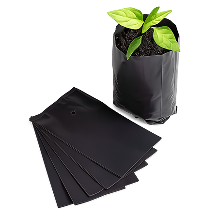 Bag in Box Bag (Wicketed Bottom Seal Bags)