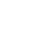 NMTG India