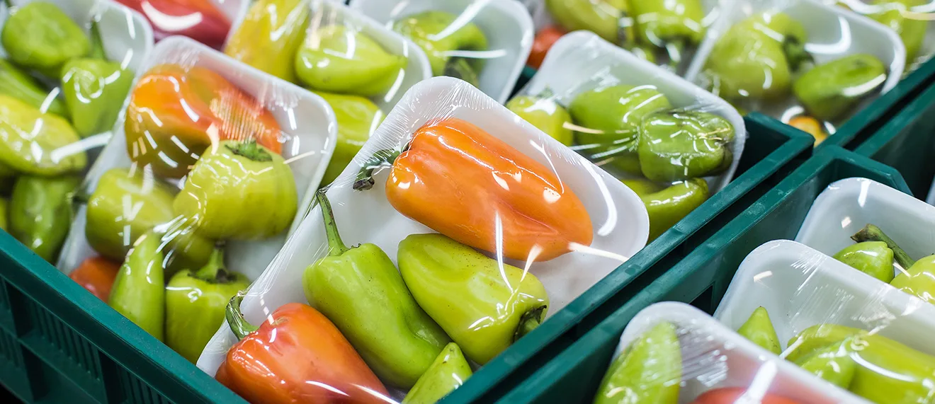 Food and Beverage Packaging Sheet Application